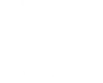 Viking Bateaux