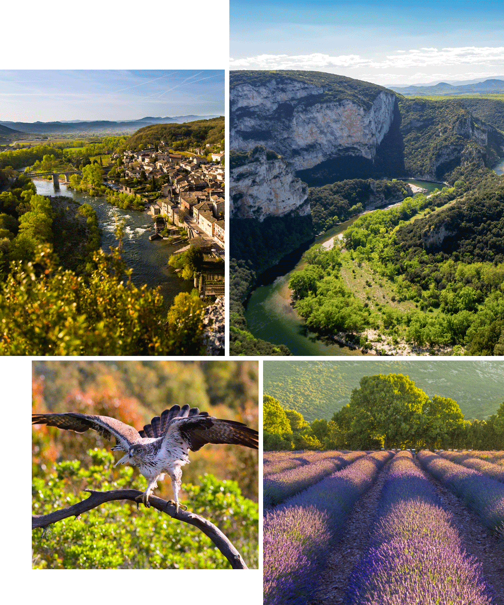 Les Gorges de l'Ardèche